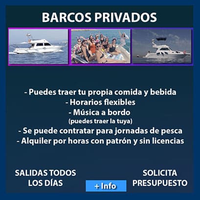 Alquiler de barco privado con patrón en Valencia para grupos